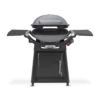 Weber Family Q(3200N+) Smoke Grey LP -THE KITCHEN SHELF Sales 29862124